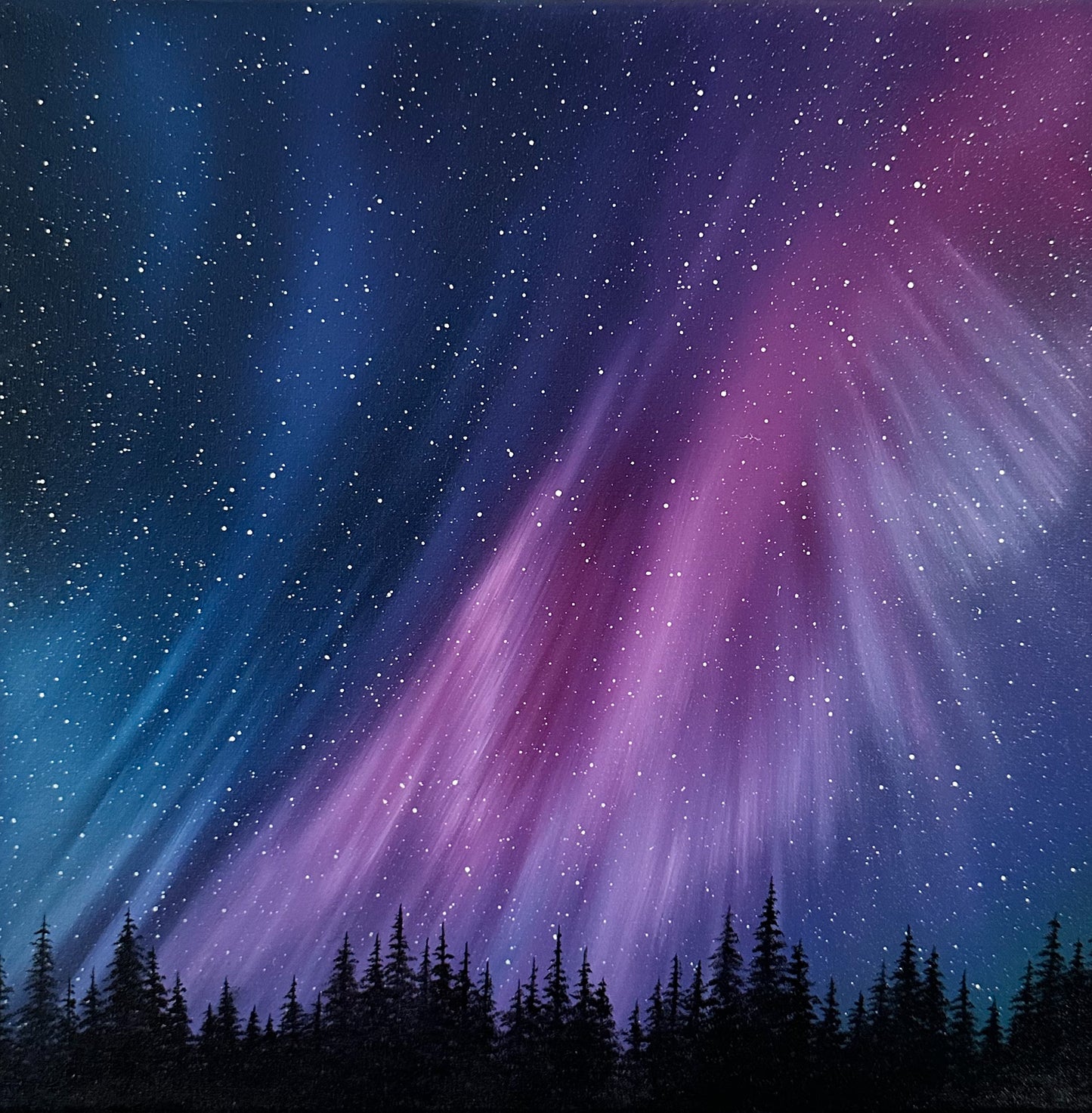 Arctic Euphoria