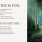 Beginner Artist Consultation – Art Growth Review