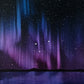 Arctic Dreamscapes