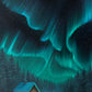 Shelter in the Glow Limited 1st Edition Print