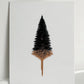 Dripping in Gold - on White No.3