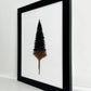 Dripping in Gold - on White No.3
