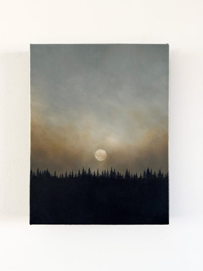 Embracing Stillness
