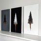 Evergreen collection 04