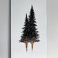 Evergreen collection 01